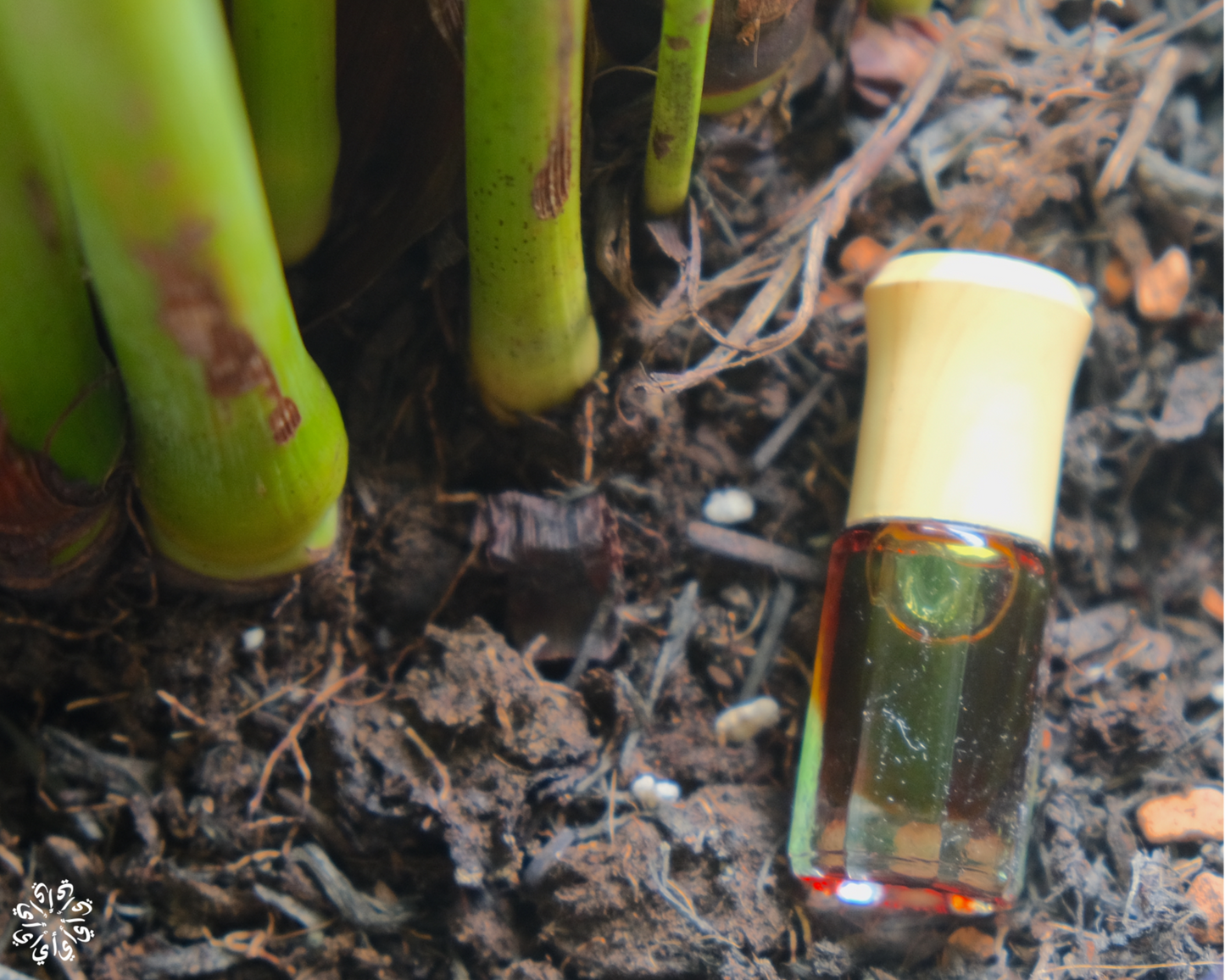 Ember of Solitude - Cambodian Oud (Grade AA)